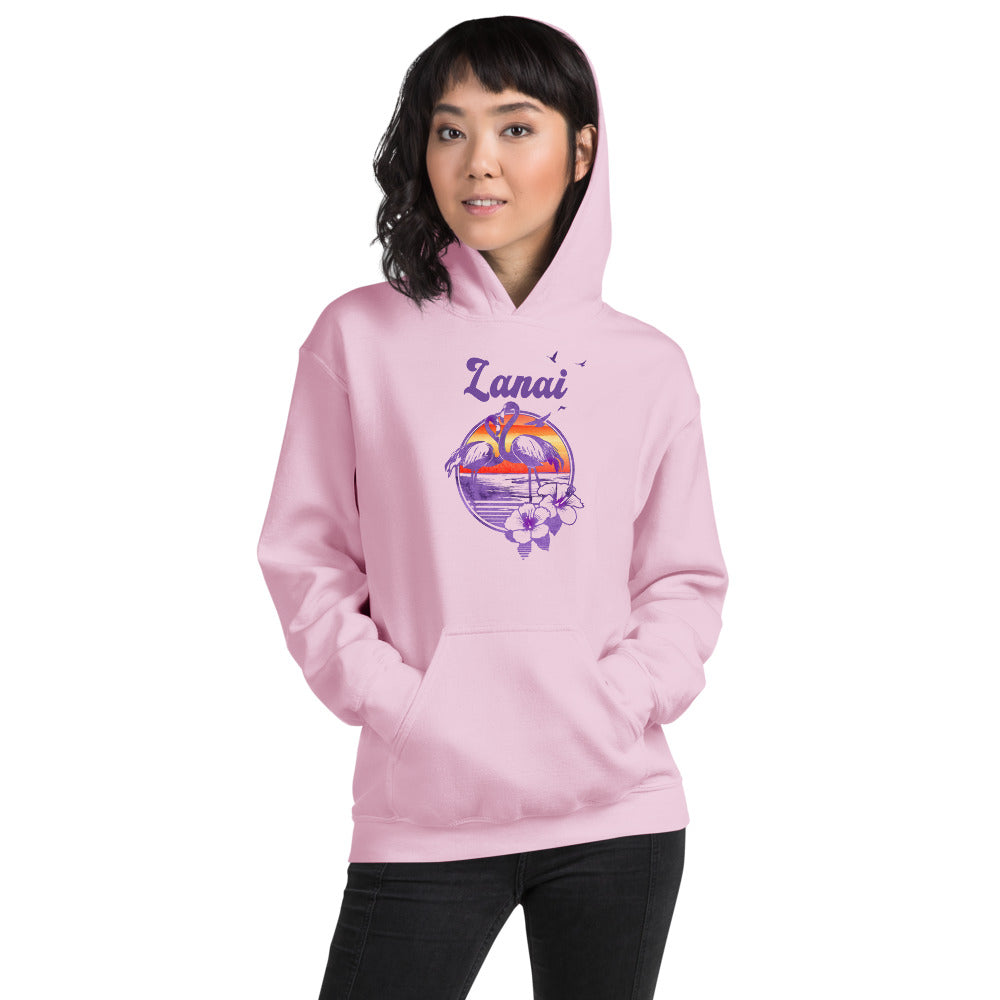 Retro Lanai Hawaii Beach Flamingo Hibiscus Unisex Hoodie Top Sweatshirt