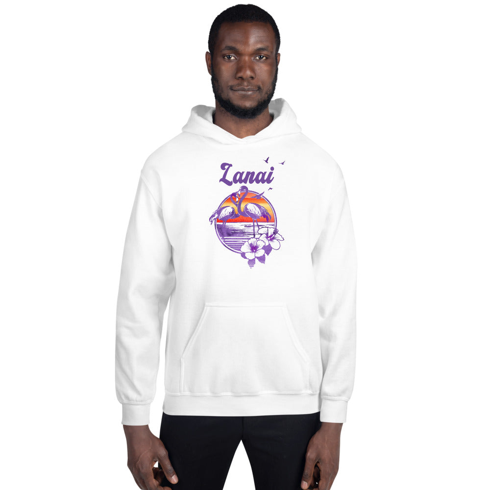 Retro Lanai Hawaii Beach Flamingo Hibiscus Unisex Hoodie Top Sweatshirt