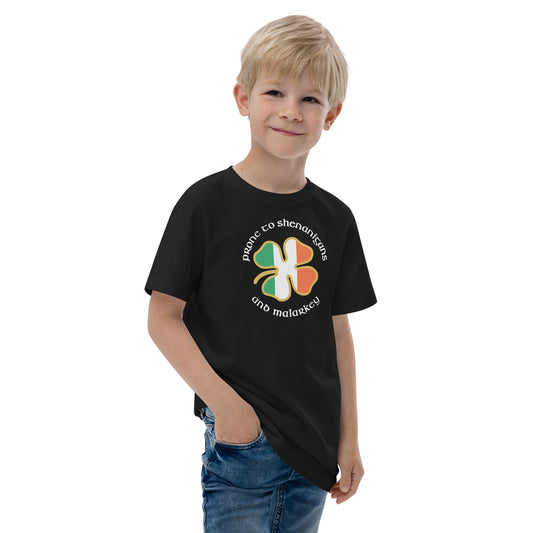 Funny Prone To Shenanigans & Malarkey Irish Flag St. Patrick's Day Youth Jersey T-Shirt